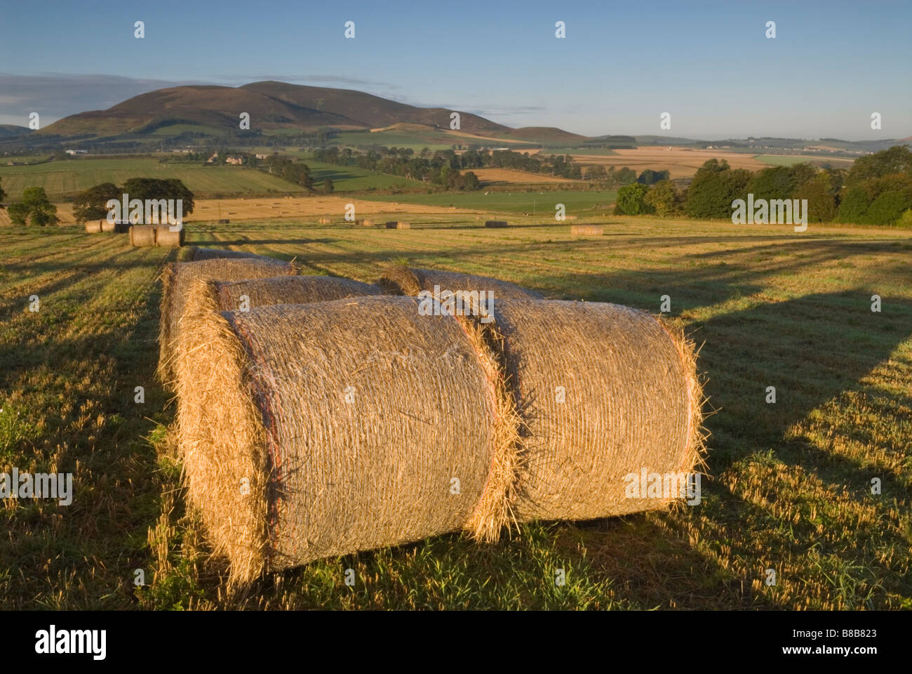 Straw bales stubble fields and rolling farmland with Tinto Hill behind South Lanarkshire