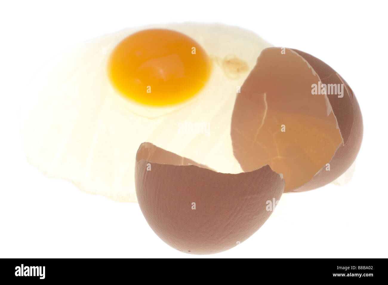 Broken raw egg with shell Stock Photo