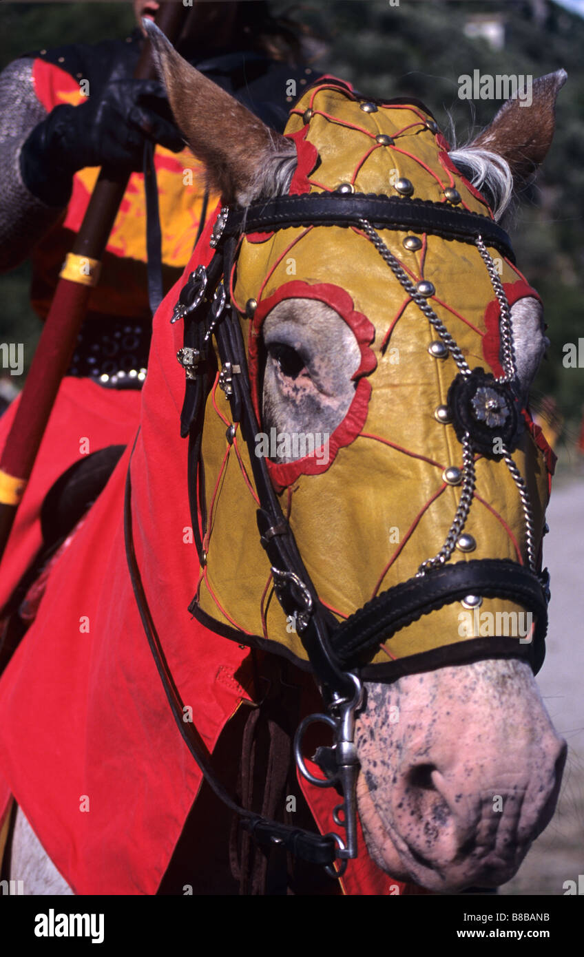 Medieval Horse Costume Tack