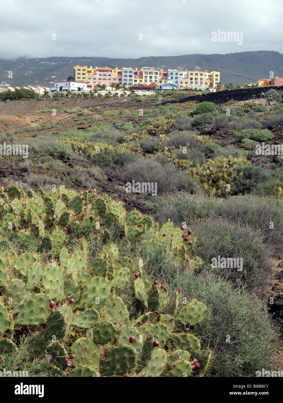 Colourful houses with scrub land in the forground at Playa Parasio, Costa Adeje, Tenerife. Stock Photo