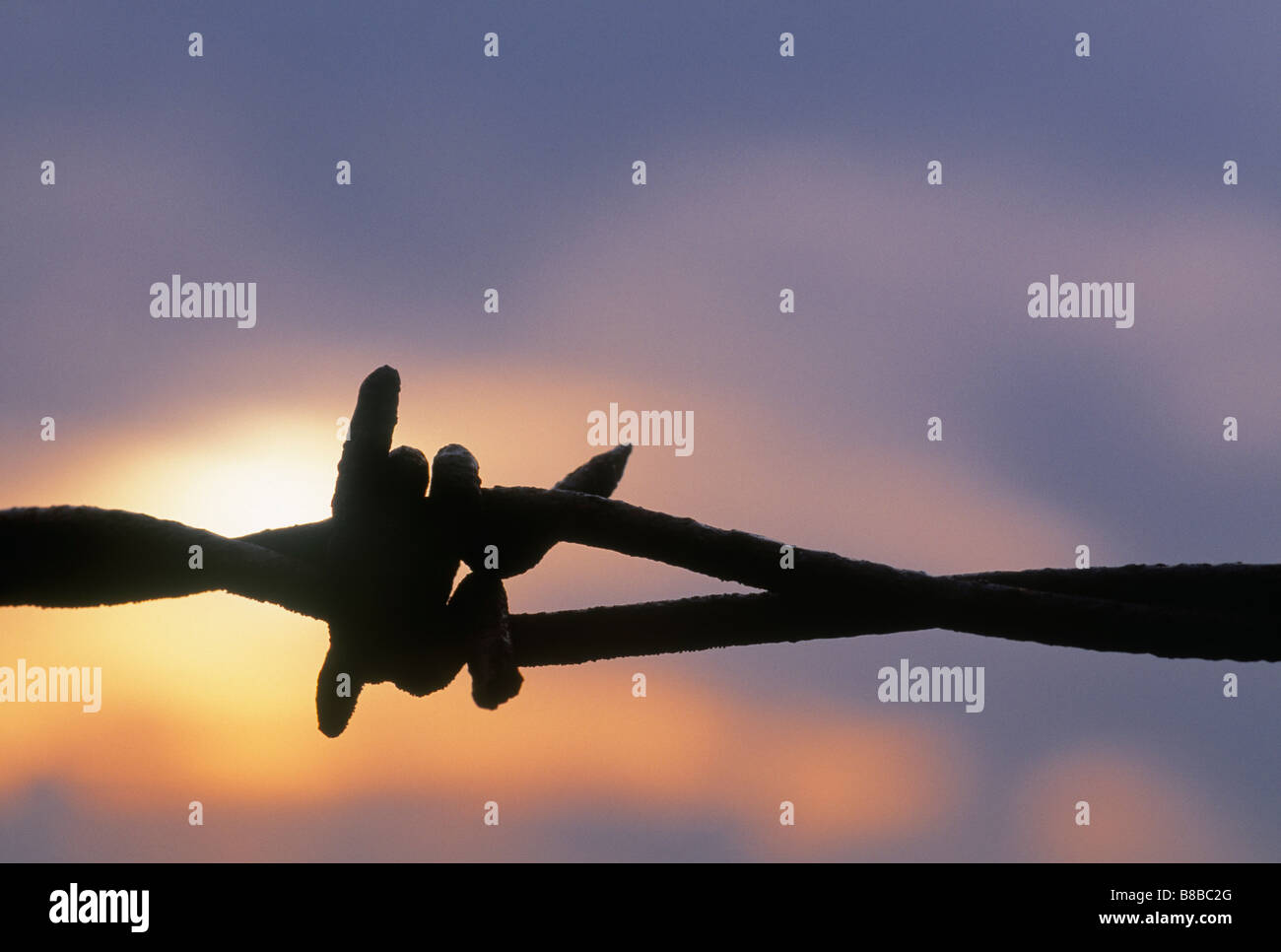 Cremona alberta hires stock photography and images Alamy