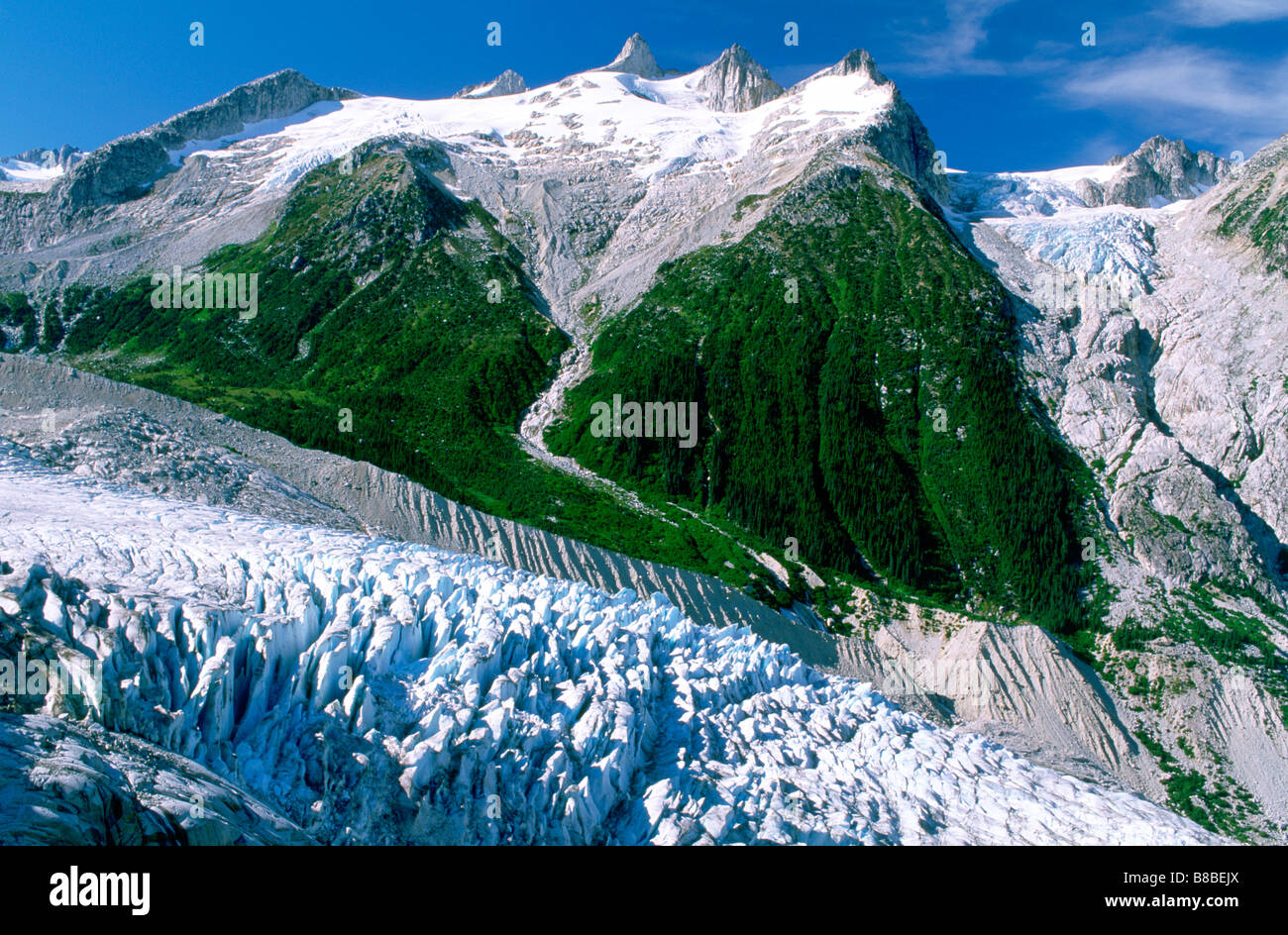 Tollot Glacier  Deception Point, Mt  Waddington, British Columbia Stock Photo