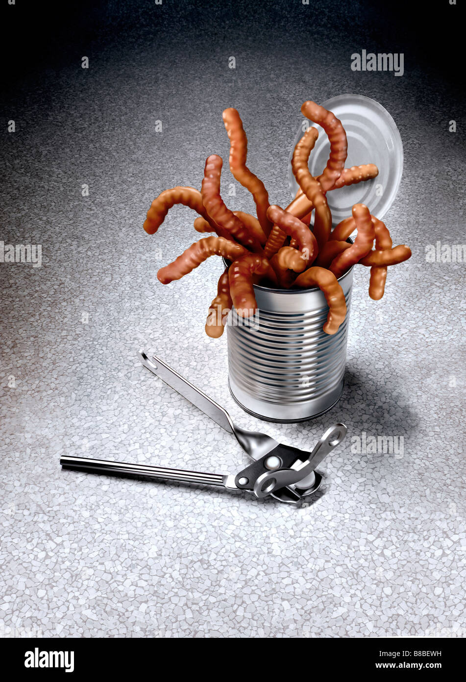 FV5226, Marcelle Faucher; Can Opener  Can  Worms Stock Photo