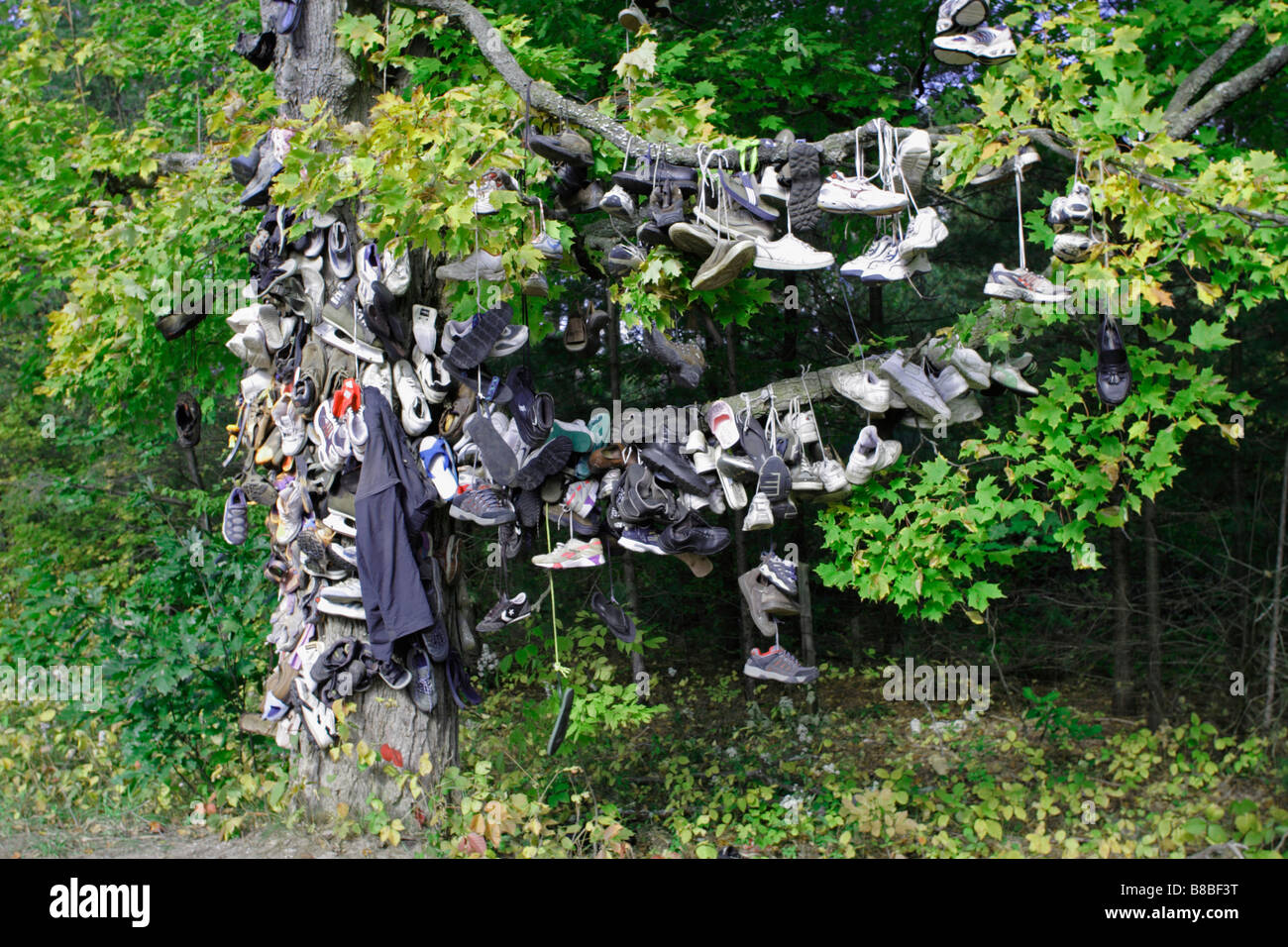 The hanging tree hires stock photography and images Alamy