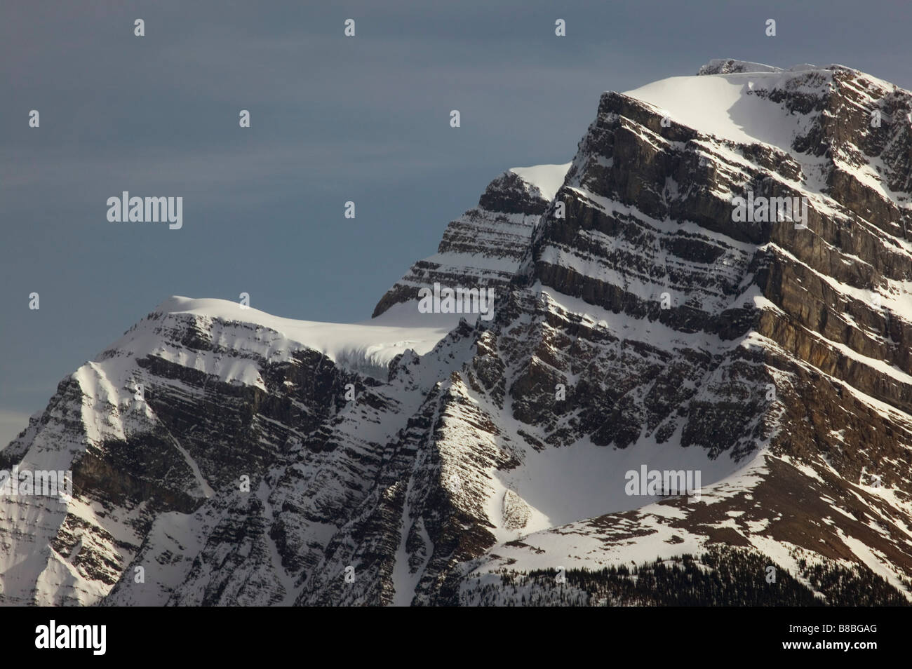 Mount Patterson  Snowbird Glacier, Banff National Park, Alberta Canada Stock Photo
