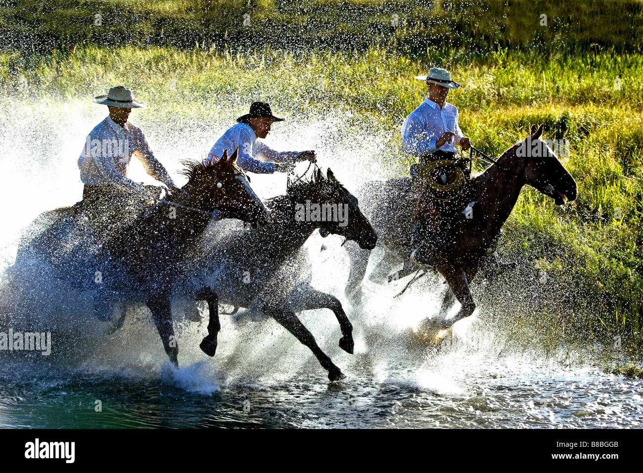 Cowboys riding horses through water Stock Photo