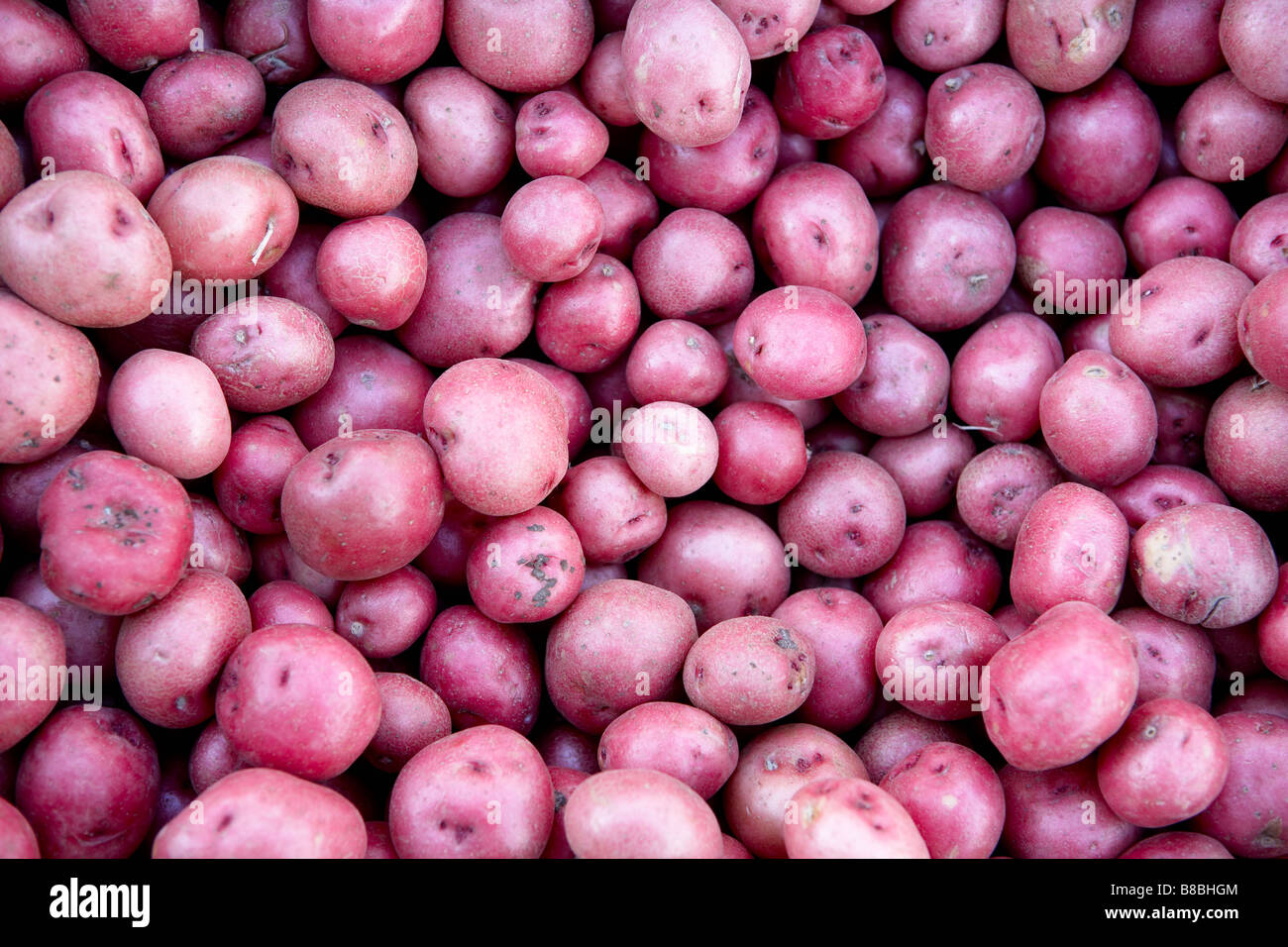 Toronto Kensington Market Food High Resolution Stock Photography and