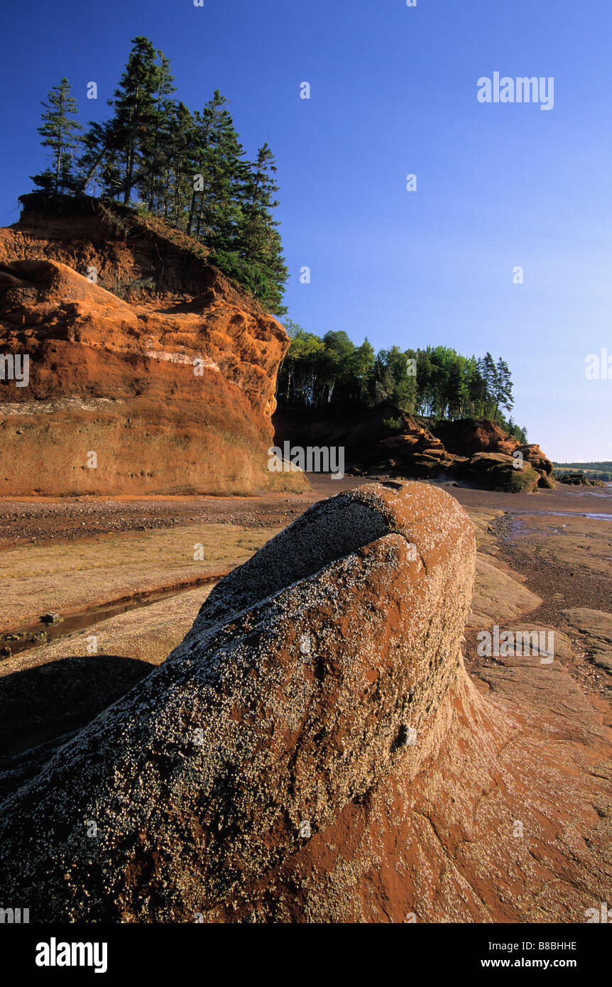 Low tide, Cobequid bay, Colchester County Nova Scotia Stock Photo Alamy