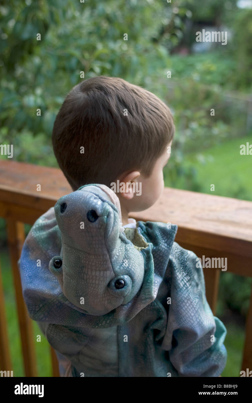 Little Boy Dinosaur Costume Stock Photo Alamy
