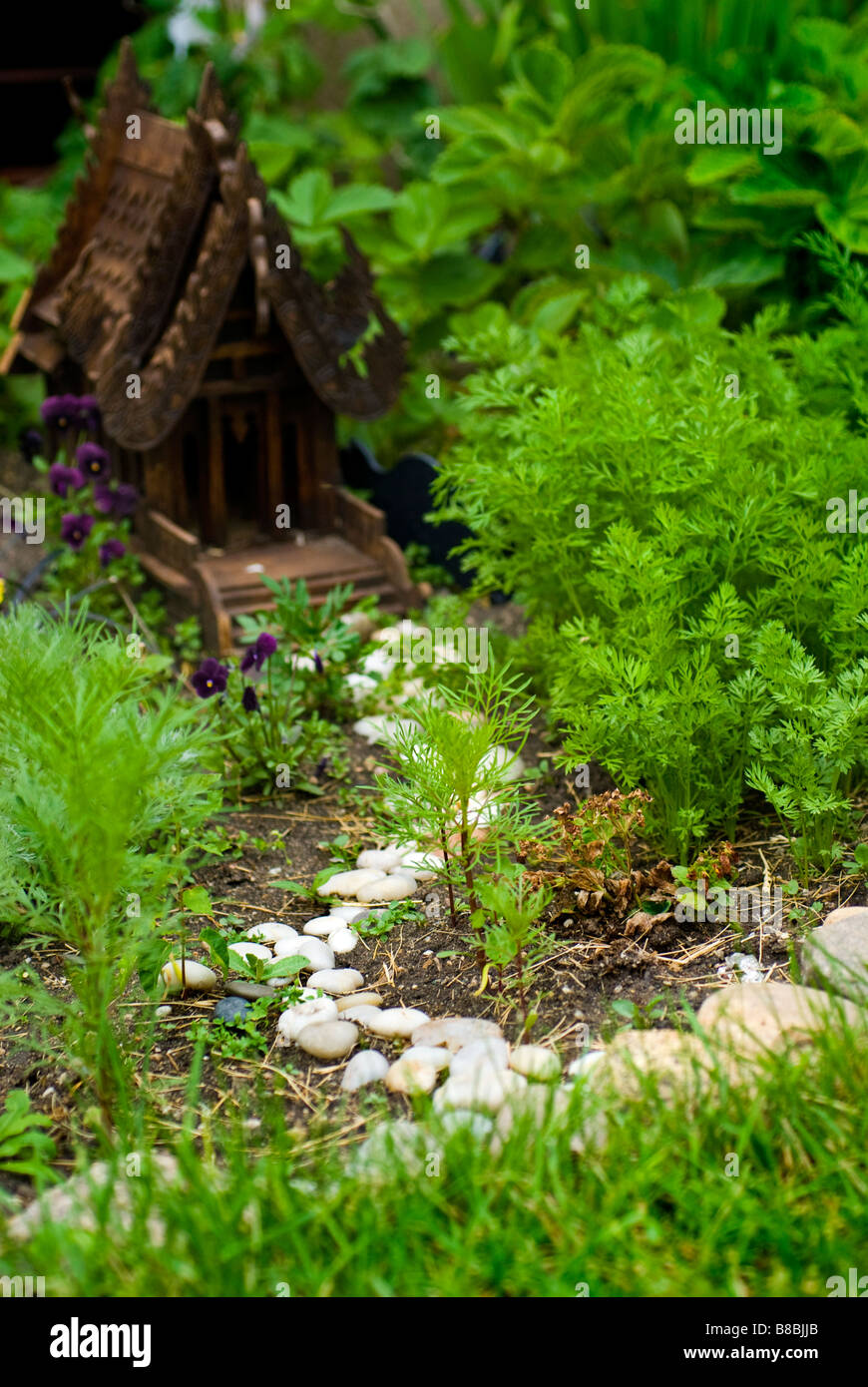 Miniature gardens - Alpine Garden Society