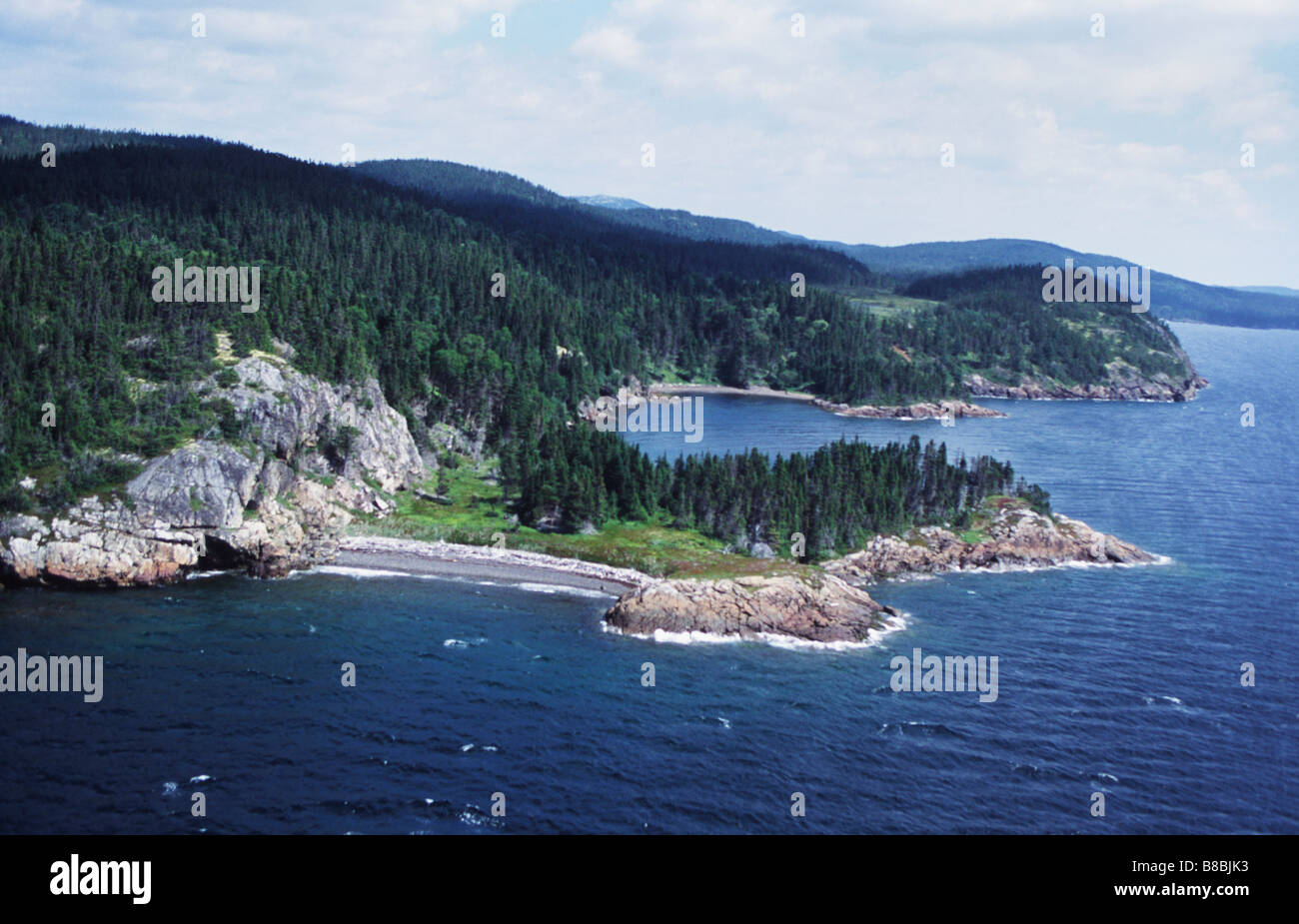 Shoreline Terra Nova National Park, Newfoundland Stock Photo Alamy