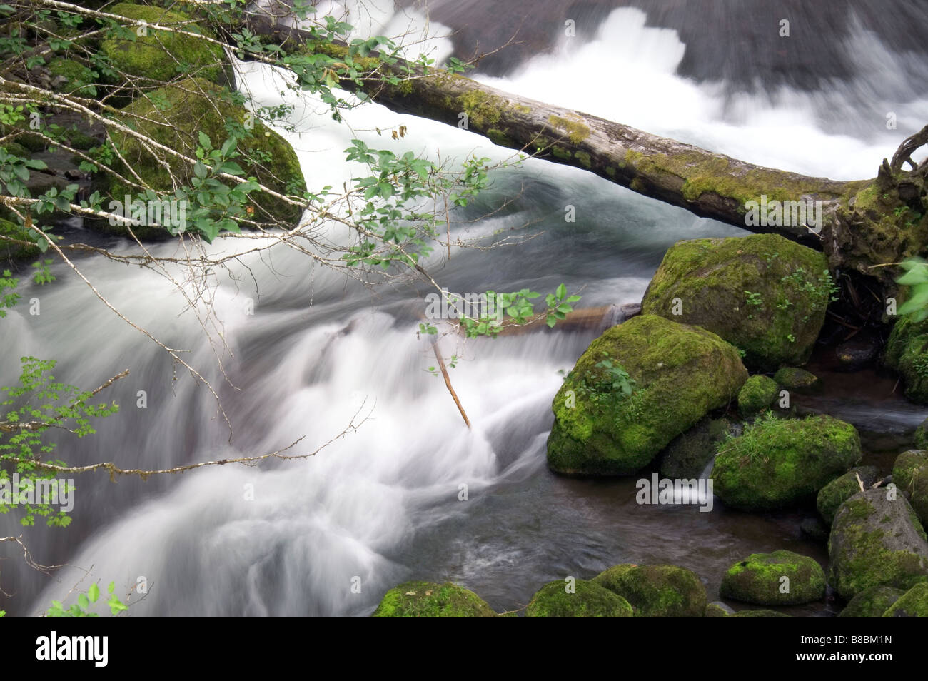 Dynamic stream flow hi-res stock photography and images - Alamy