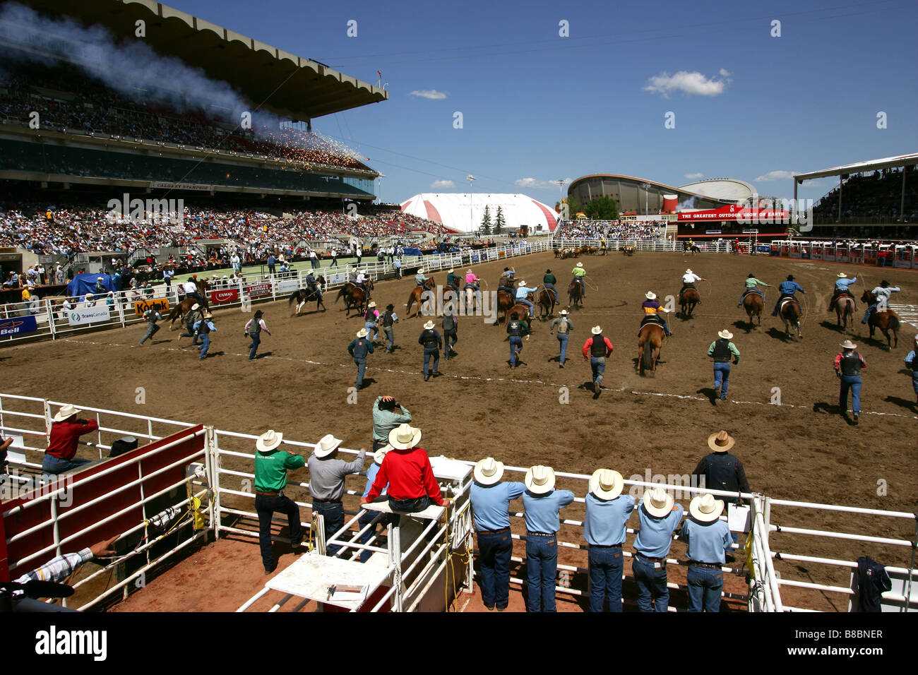 The scramble beginning Wild Cow Milking, Calgary Stampede, Calgary ...