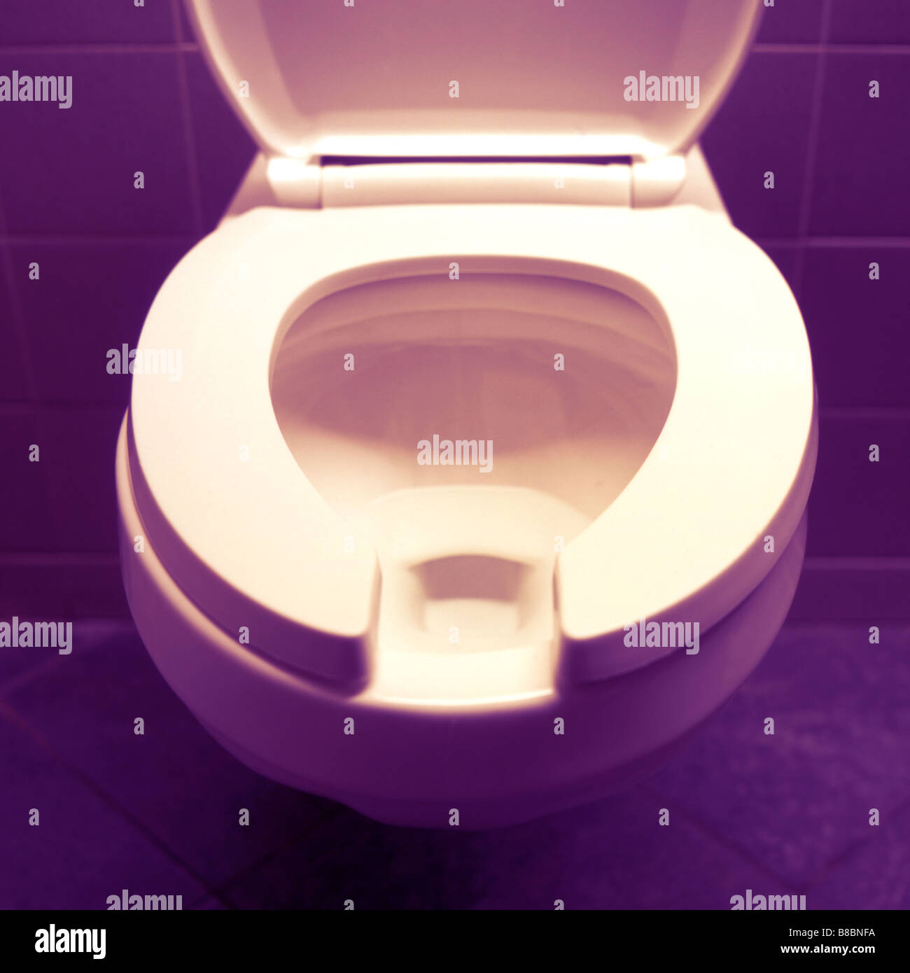 Toilet Seat Lid Up Stock Photo Alamy