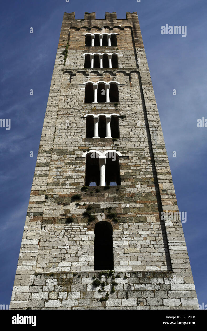 Basilica di San Frediano, Lucca, Tuscany, Italy Stock Photo Alamy