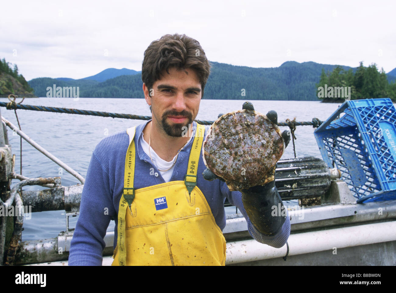 Scallop Farmer giant Scallop, Tofino, British Columbia Stock Photo Alamy