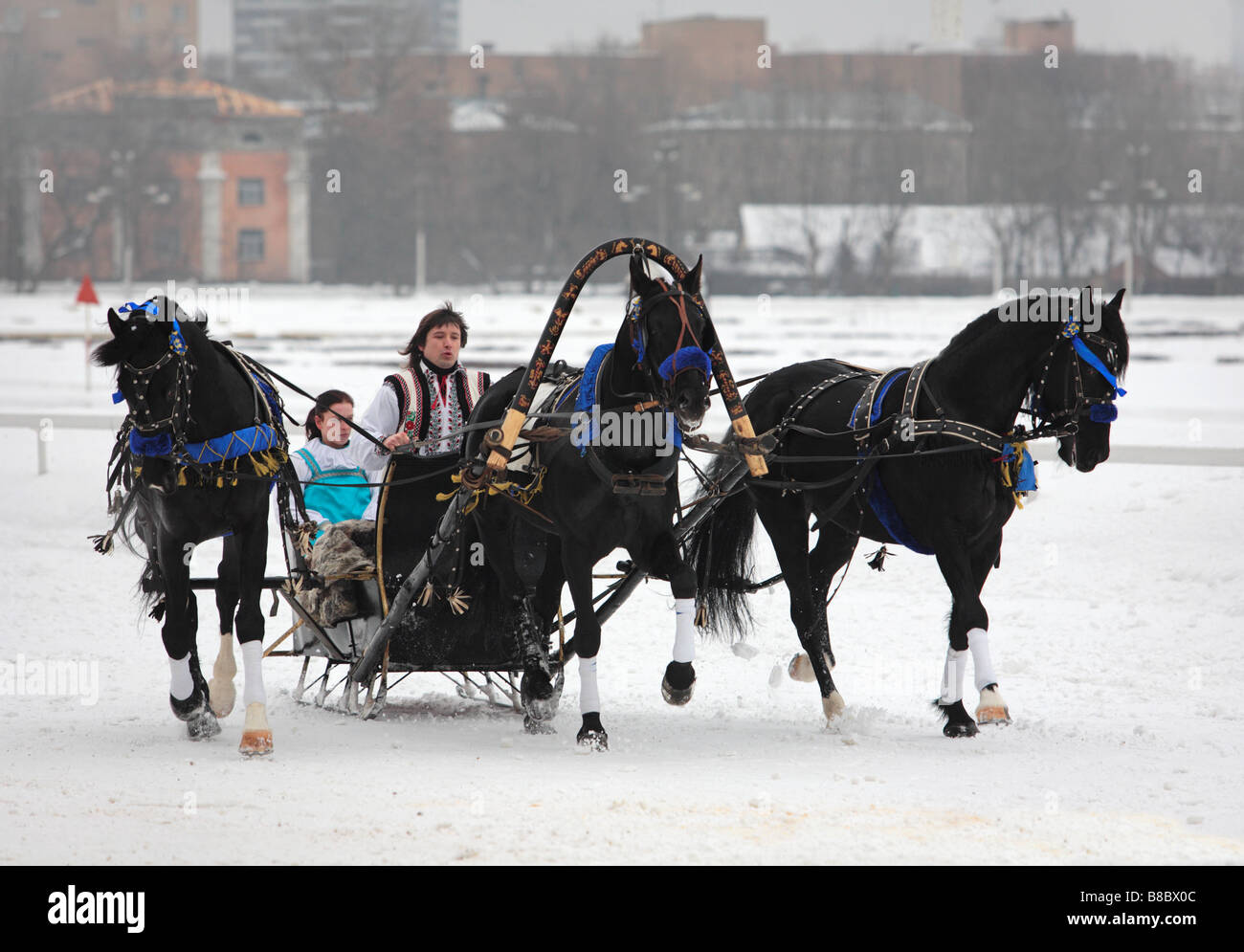 Troika races in Moscow, Russia Stock Photo - Alamy