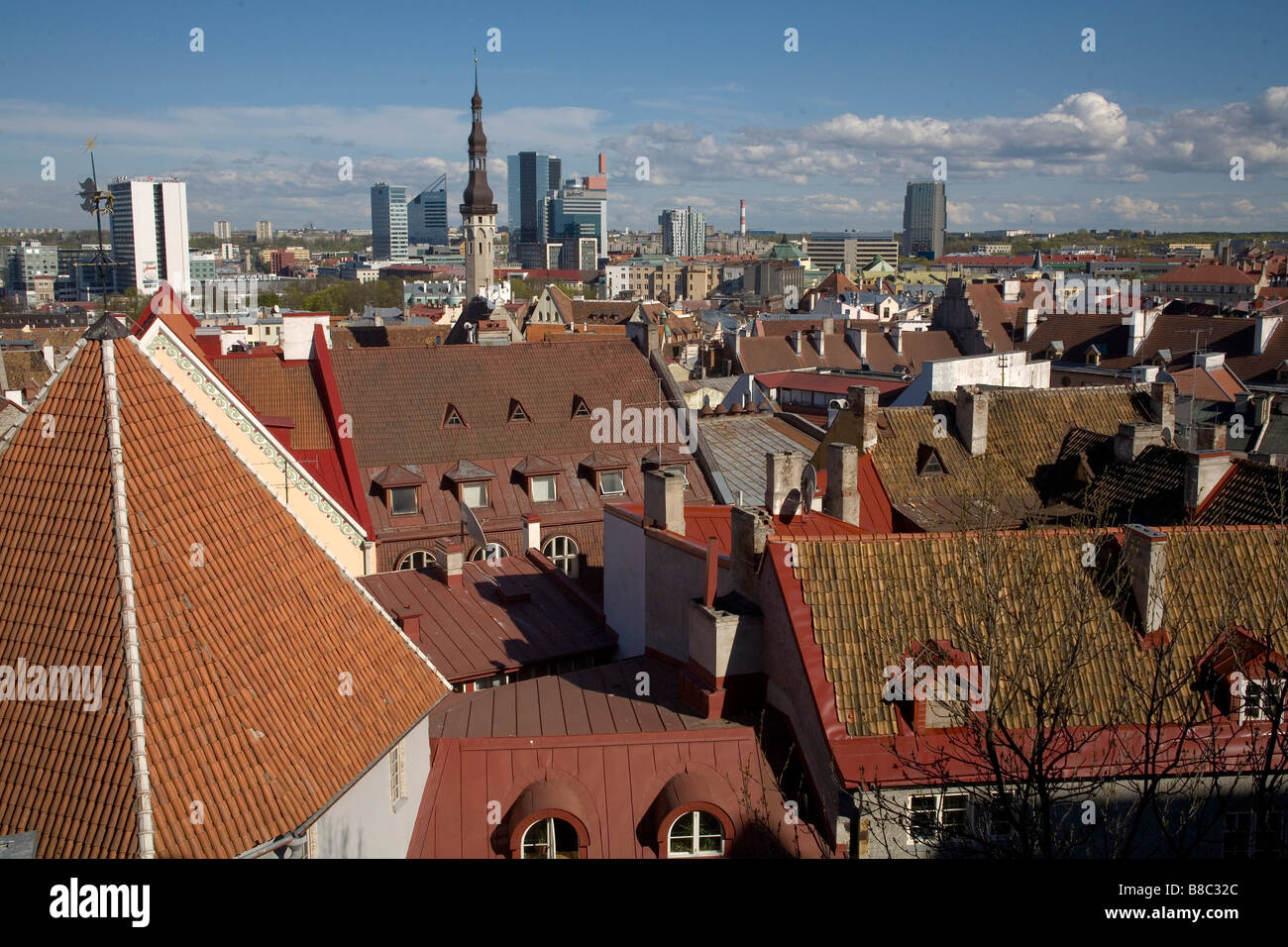 Tallin stolica Estonii Tallin the capital of Estonia Stock Photo