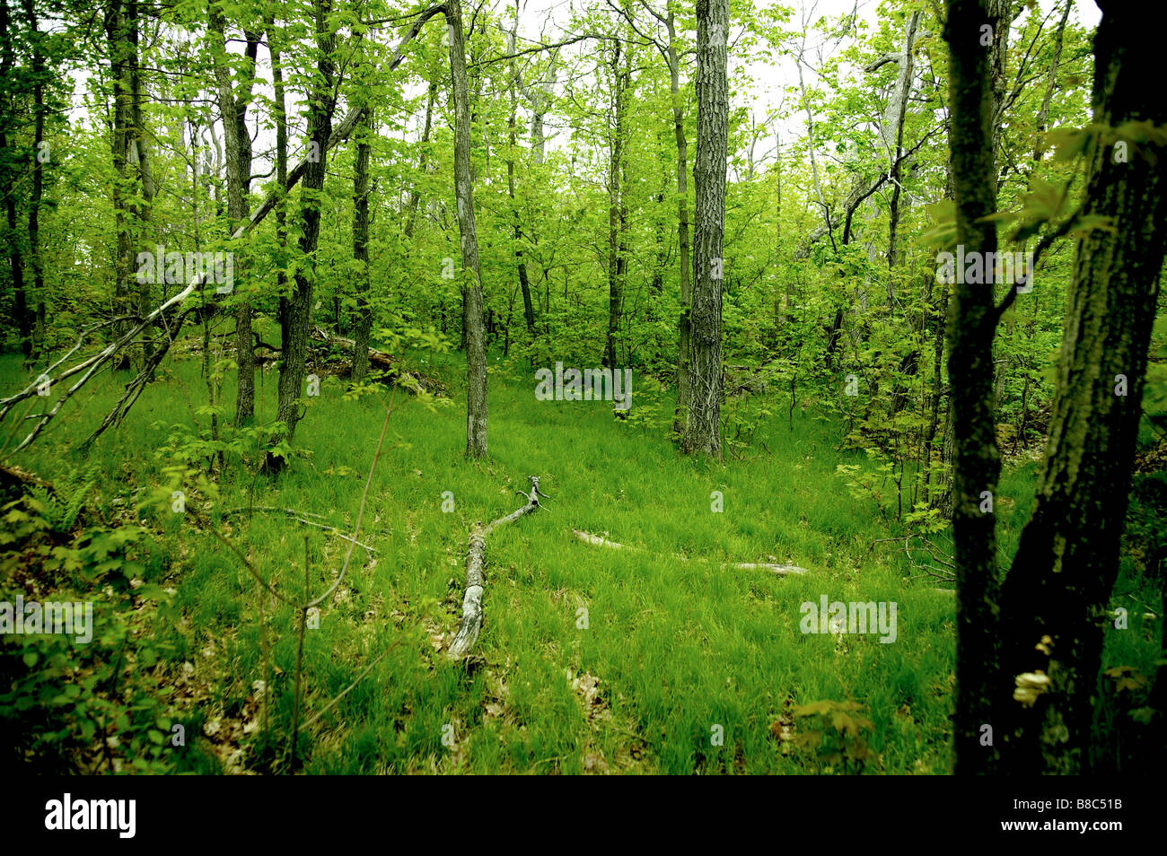 Landscape, Gatineau, Quebec Stock Photo Alamy