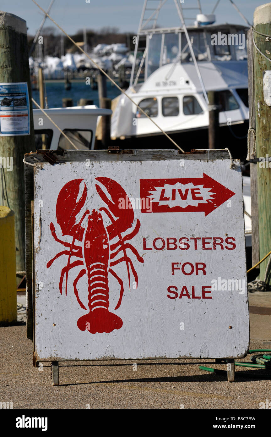 Fish sale boat hires stock photography and images Alamy