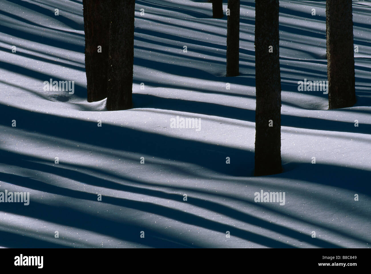 SHADOWS ON SNOW Stock Photo - Alamy