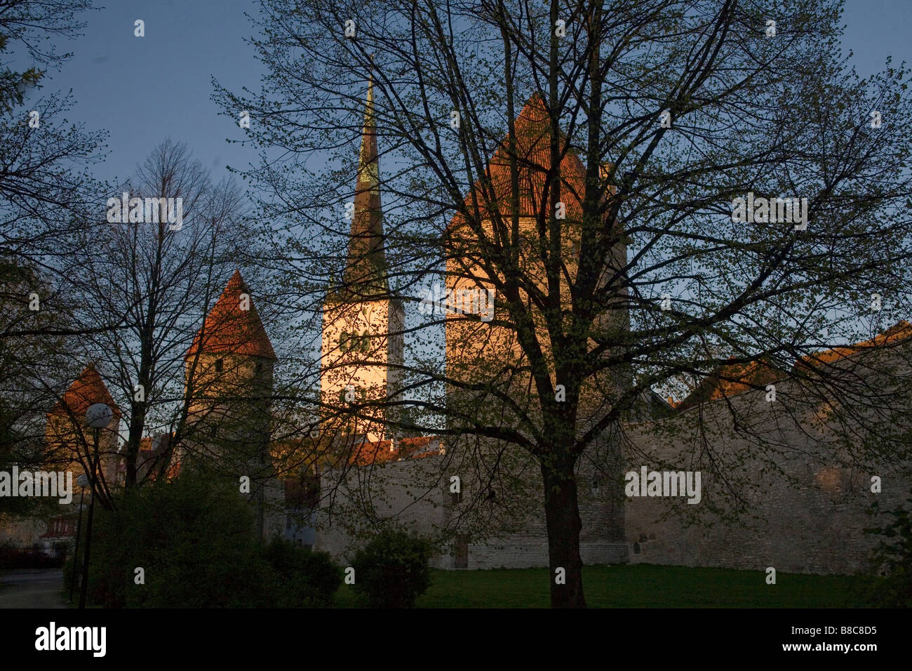 Tallin stolica Estonii Tallin the capital of Estonia Stock Photo