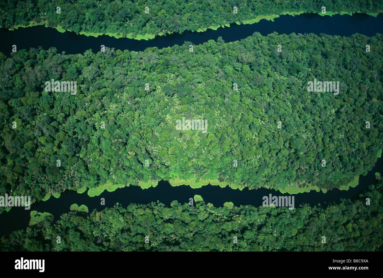 Rainforest hi-res stock photography and images - Alamy