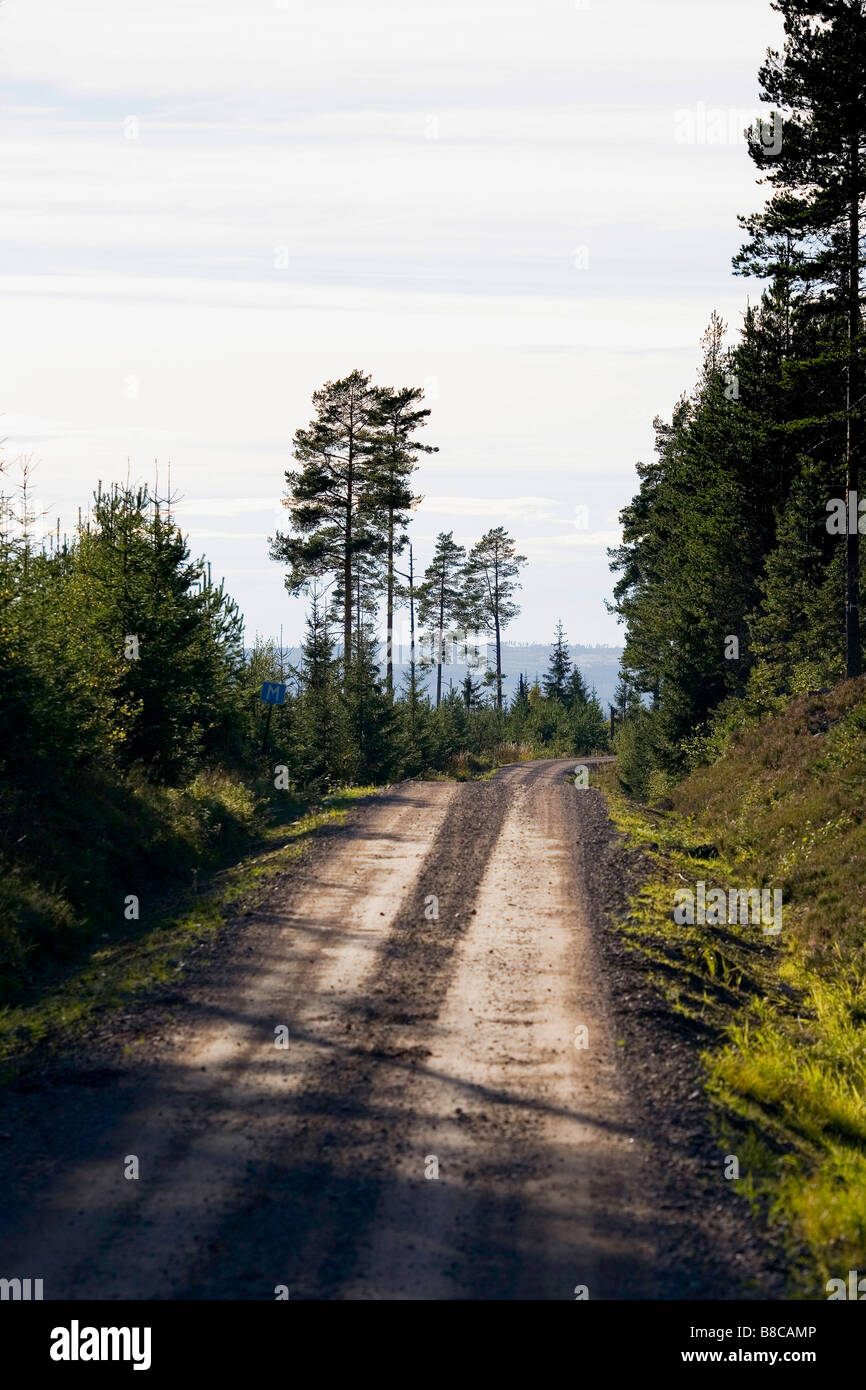Lonely road in forest hi-res stock photography and images - Alamy