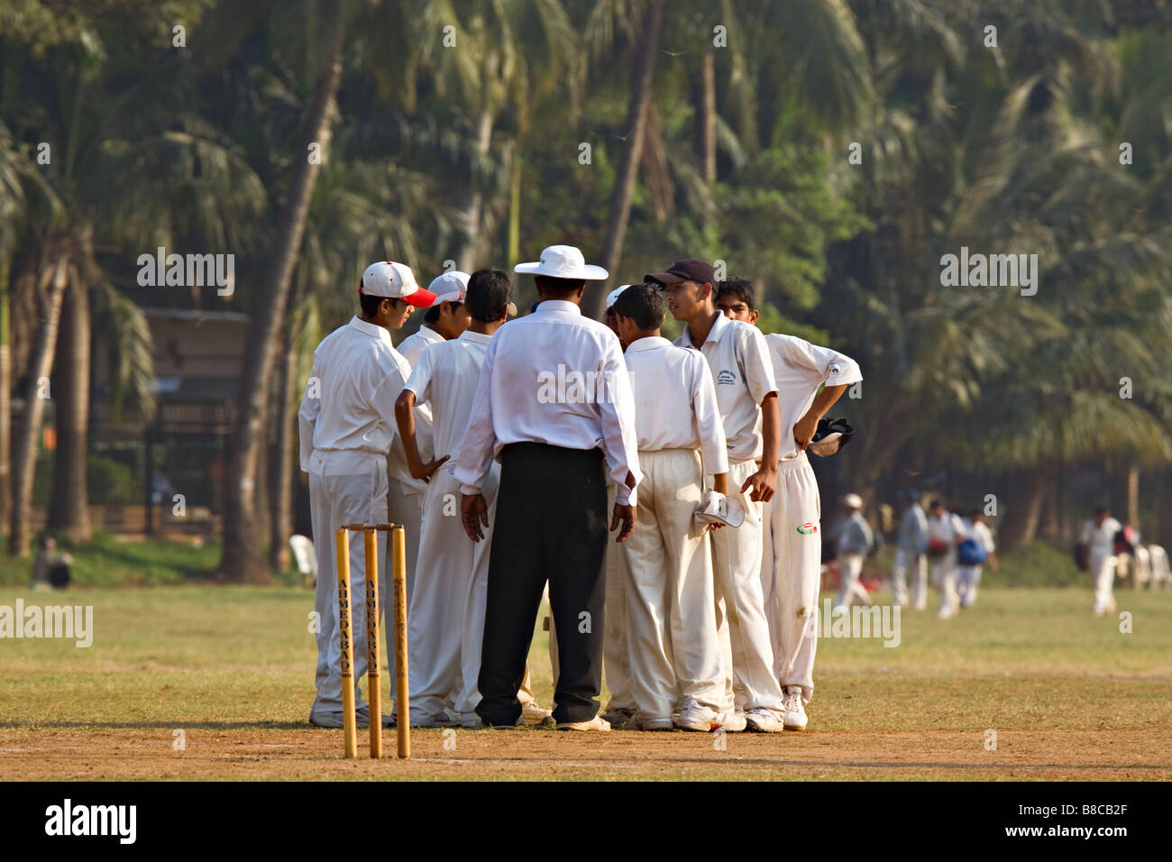 Oval Maiden, cricket game, Mumbai, India, Asia Stock Photo