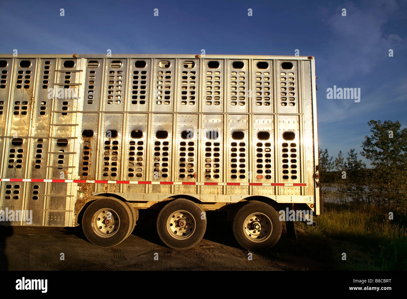 Trailer used to Haul Livestock Stock Photo Alamy