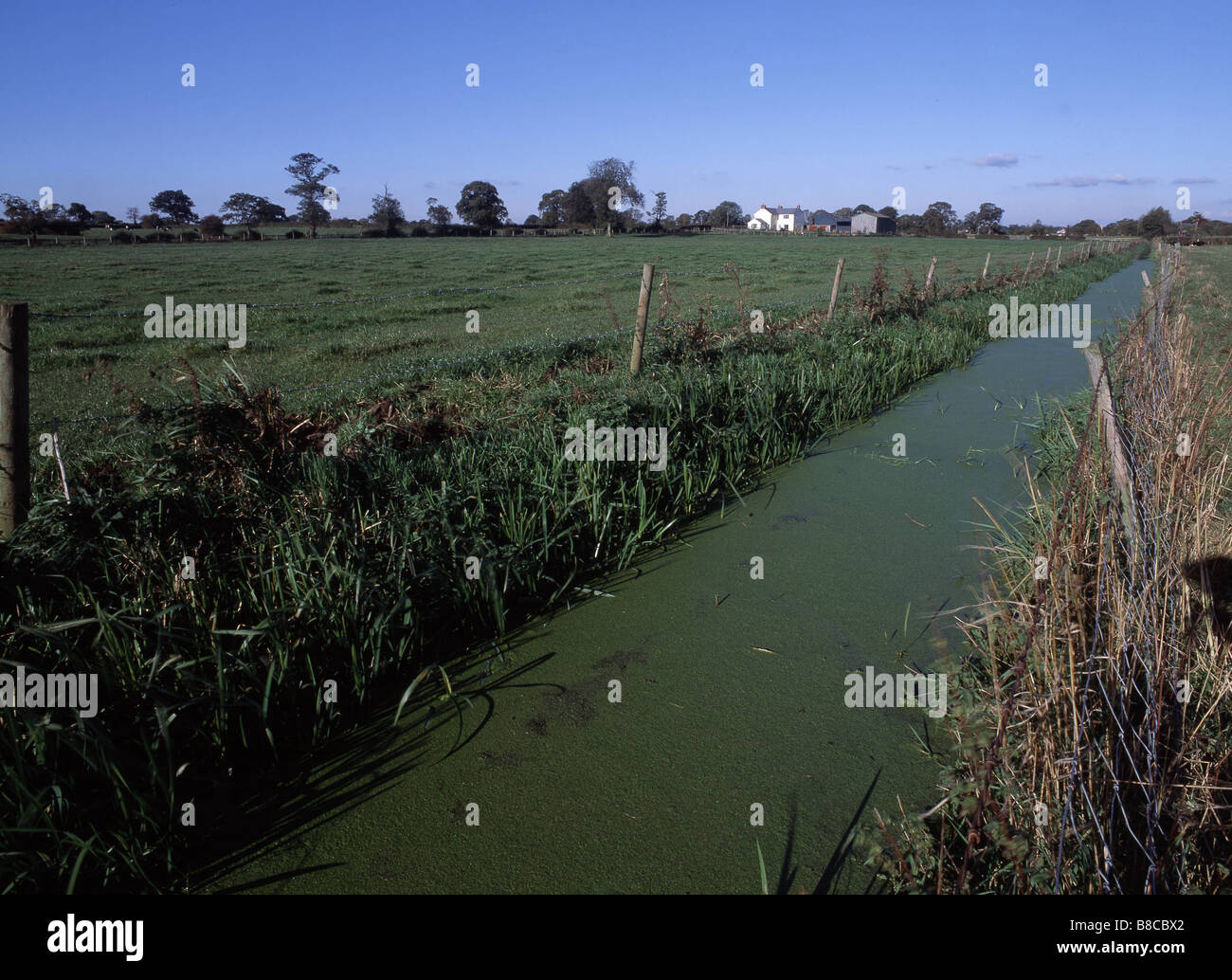 Agricultural pollution hires stock photography and images Alamy