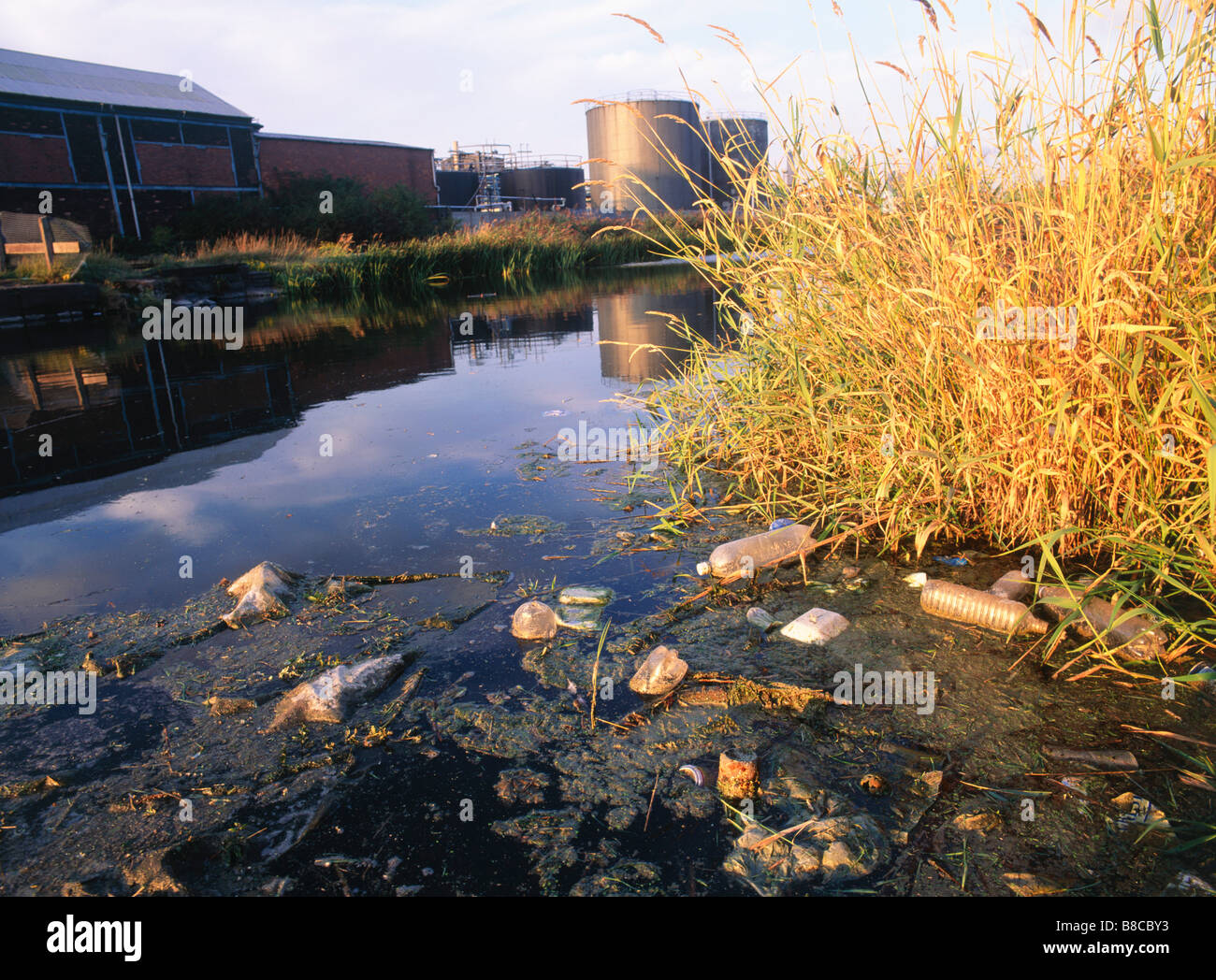 Litter Stock Photo