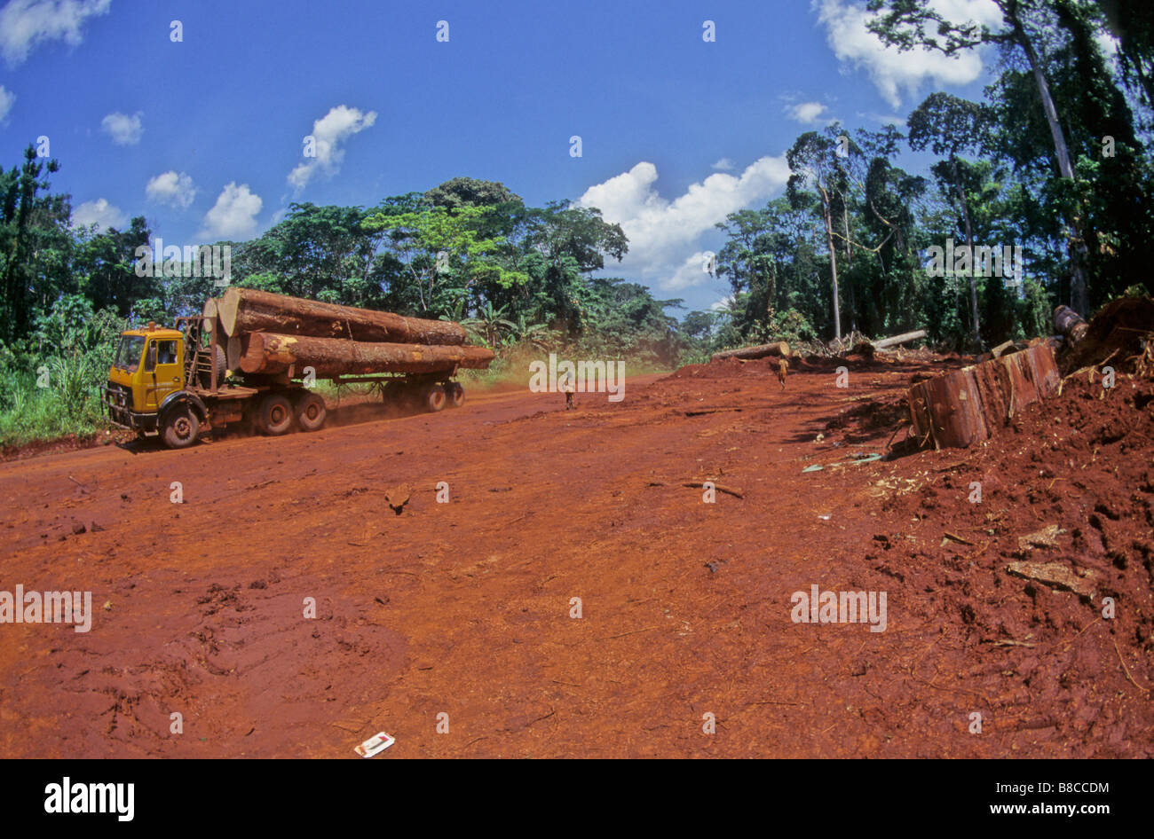 Logging road hires stock photography and images Alamy