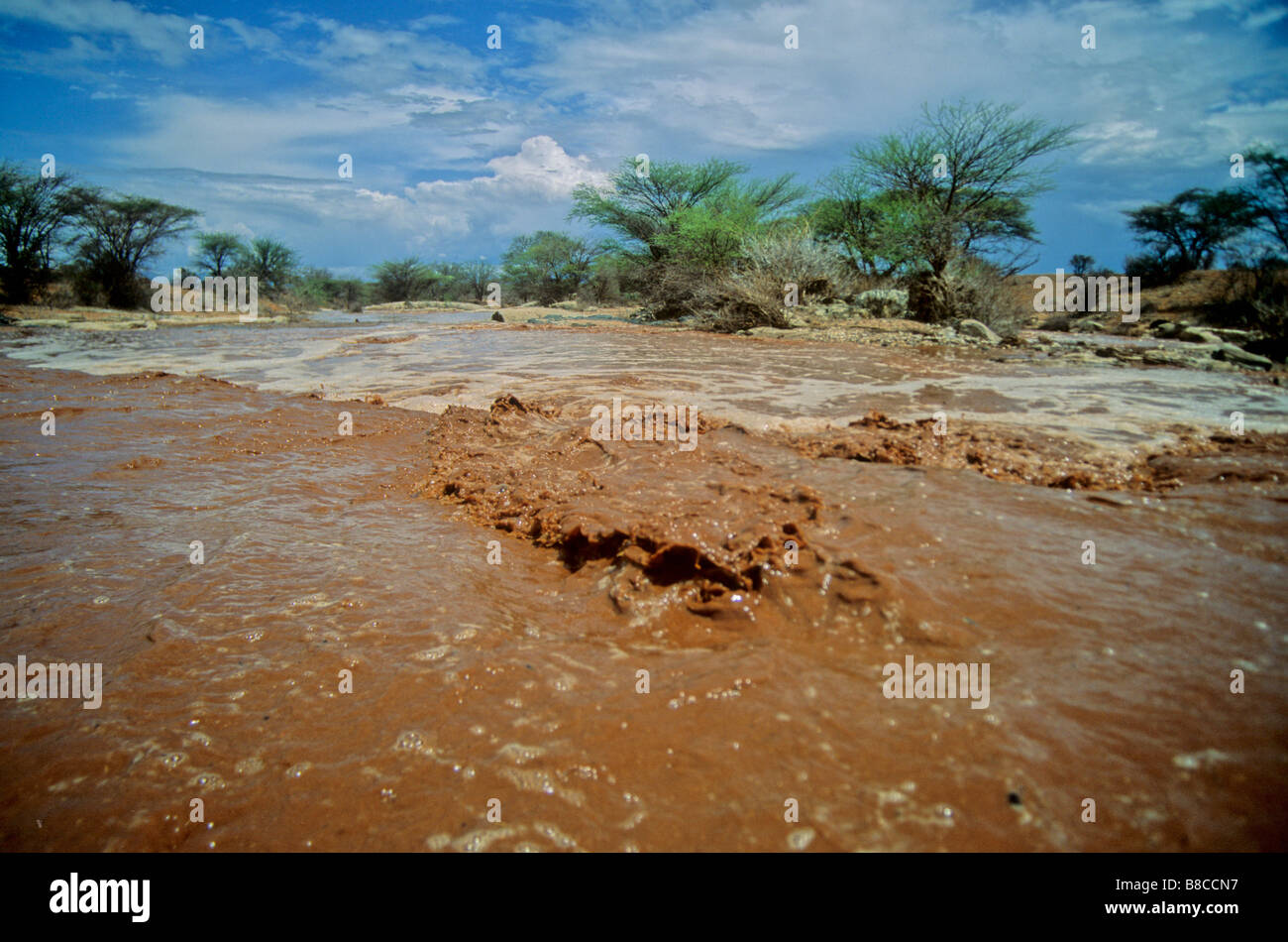 Uaso Nyiero River in flood Stock Photo