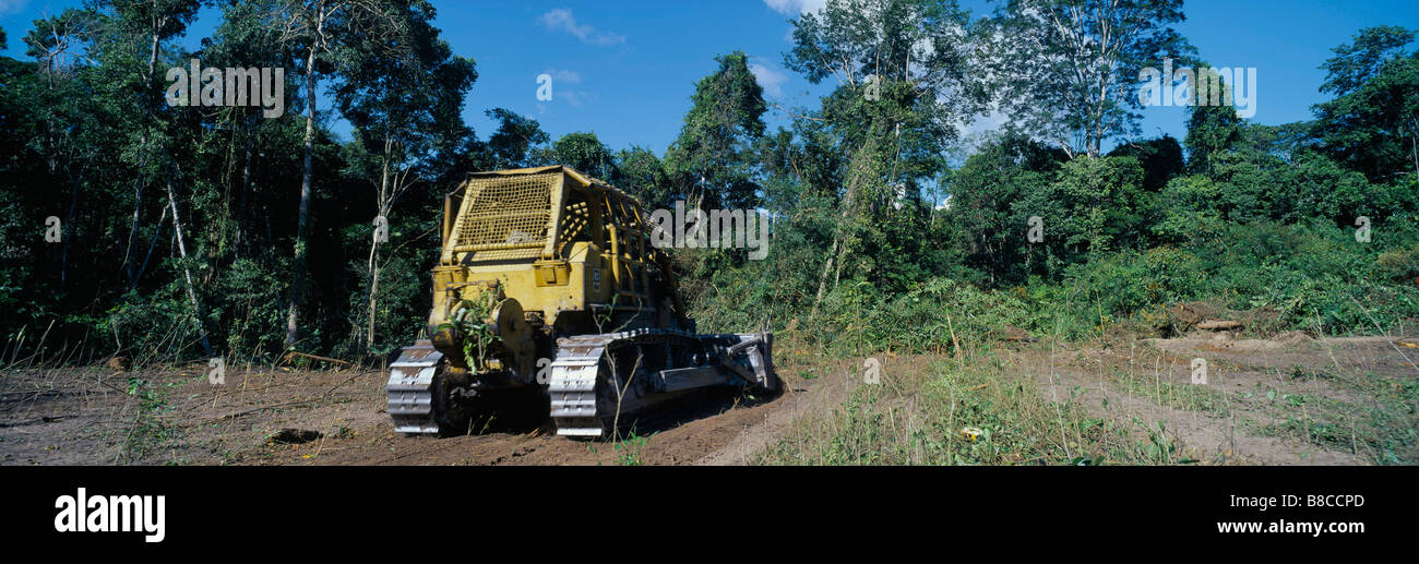 Tropical Rainforest being destroyed Stock Photo