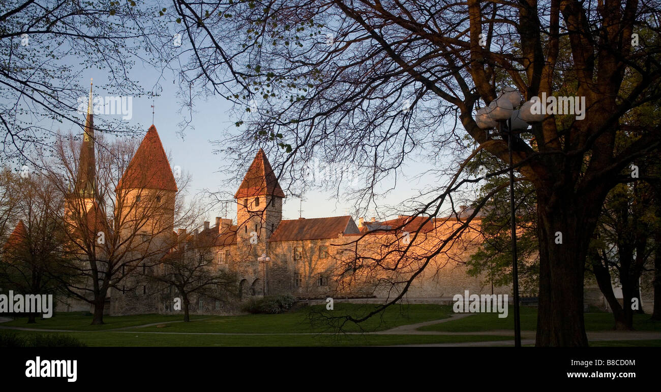 Tallin stolica Estonii Tallin the capital of Estonia Stock Photo