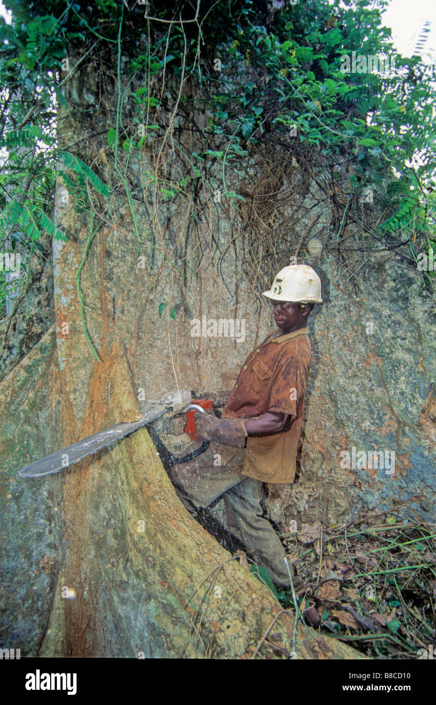 Cutting down tree africa hires stock photography and images Alamy