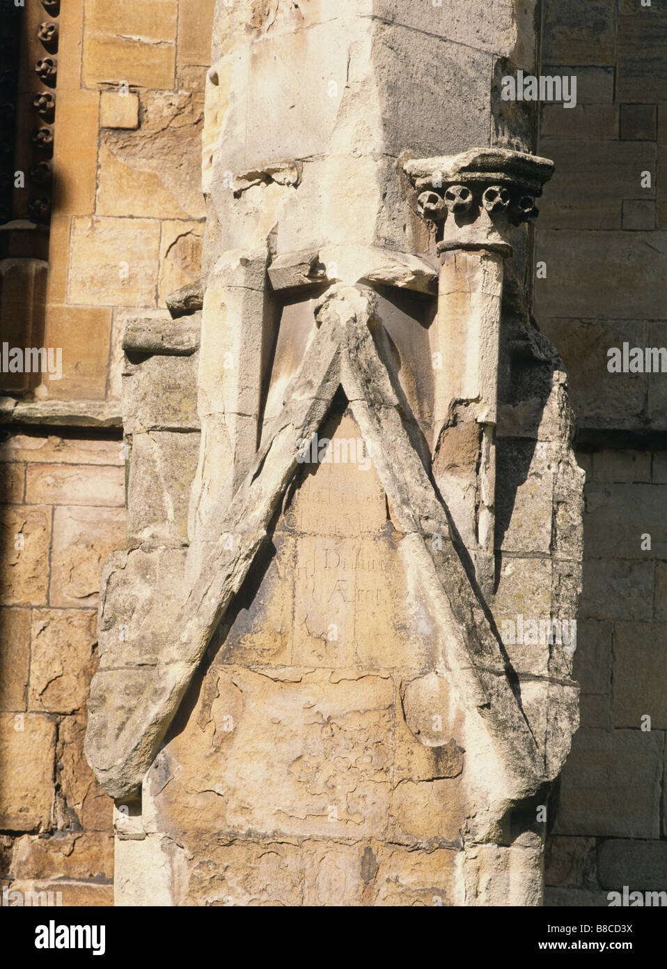 Effects of acid rain hires stock photography and images Alamy