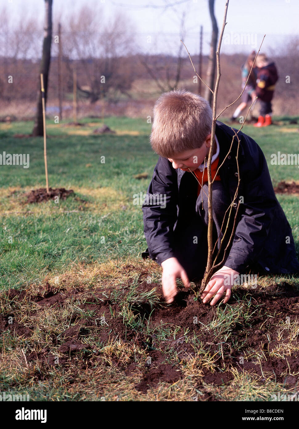 Child planting british tree hires stock photography and images Alamy