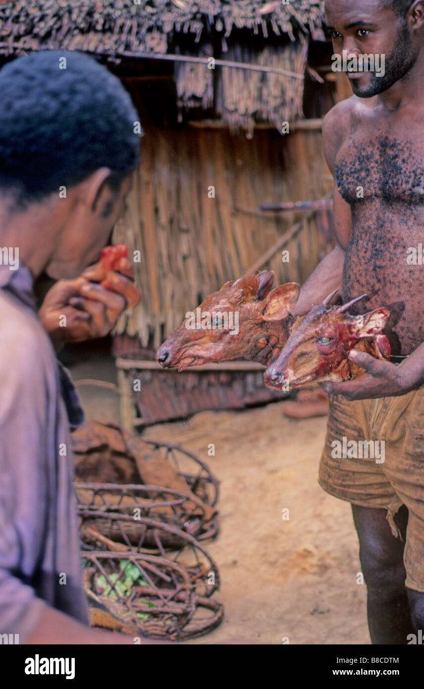 Bush meat africa hires stock photography and images Alamy
