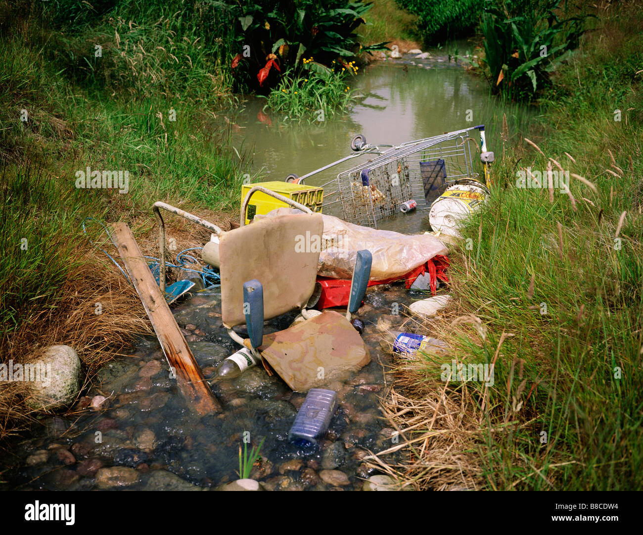 Rubbish in stream Stock Photo - Alamy