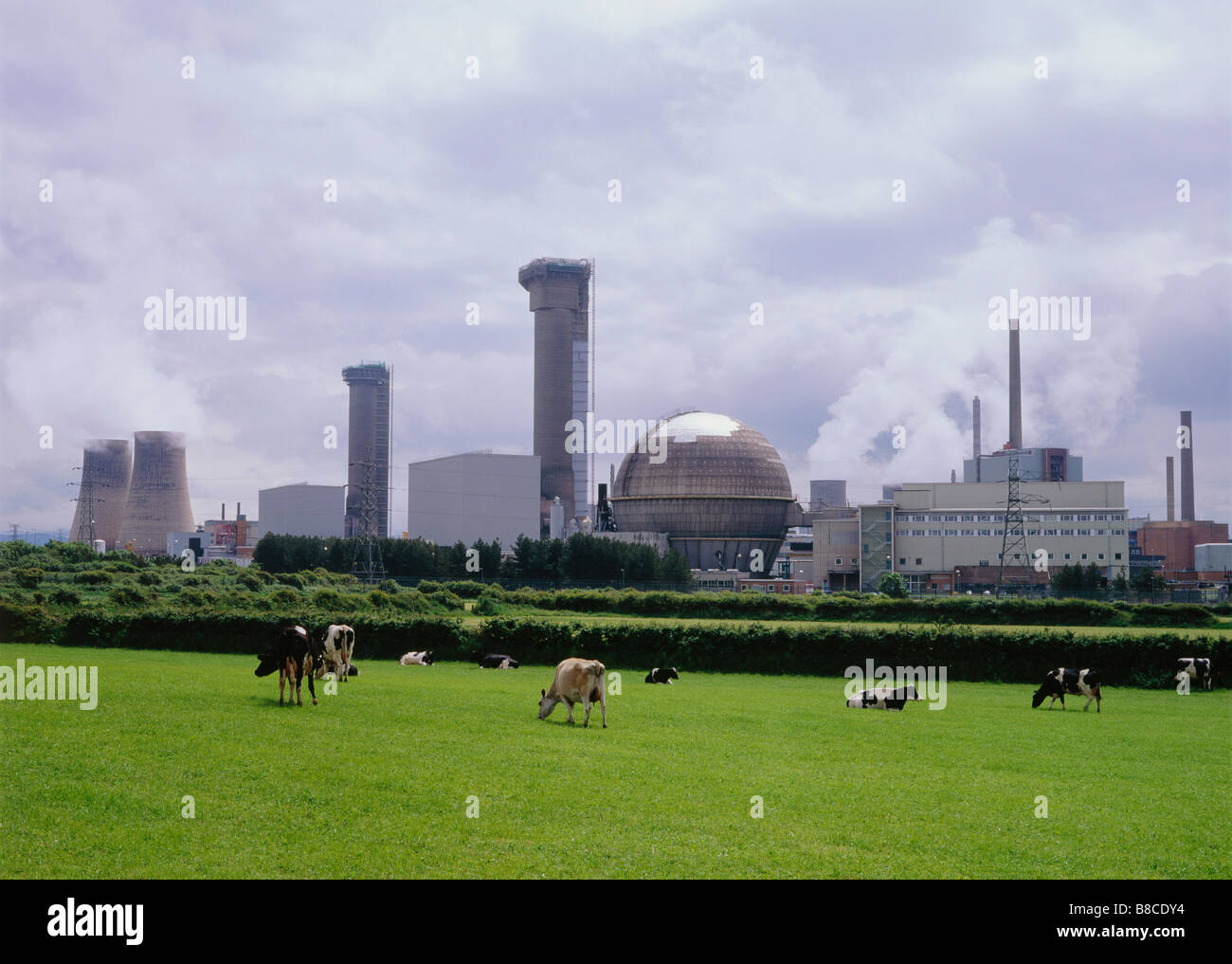 Sellafield Nuclear Power Station Stock Photo Alamy   Sellafield Nuclear Power Station B8CDY4 