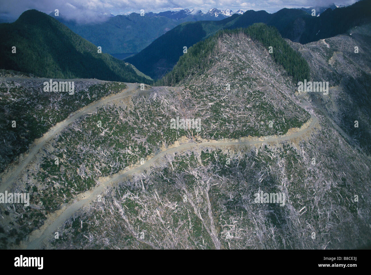 Clear cut ridges Stock Photo