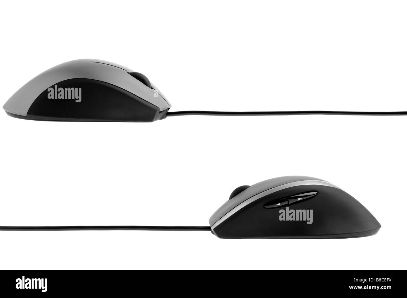 The computer mouse It is isolated on a white background Stock Photo - Alamy