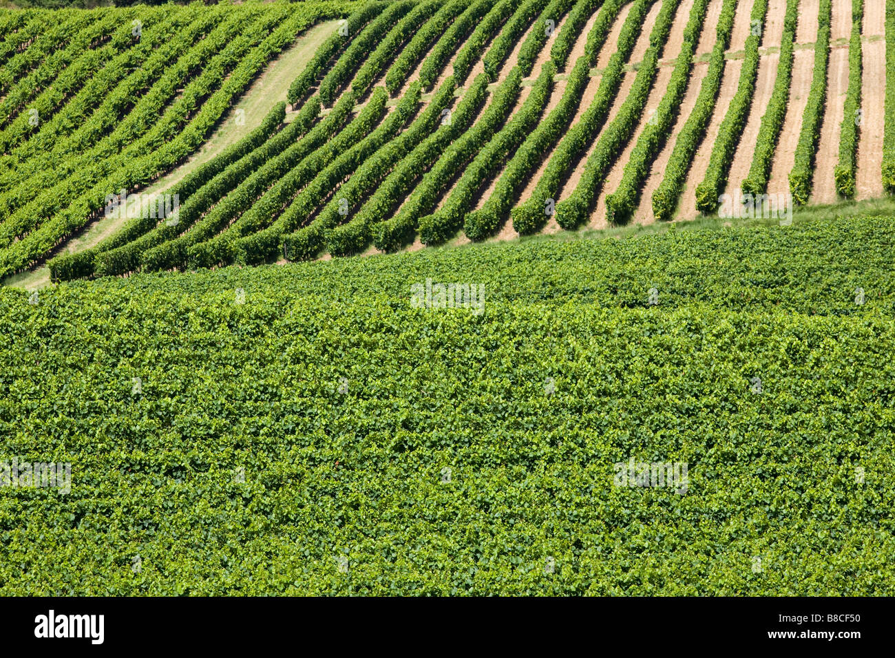 Vendage hi-res stock photography and images - Alamy