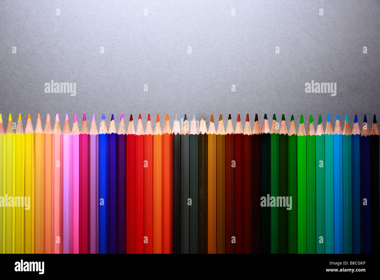 Row of multi colored pencils Stock Photo