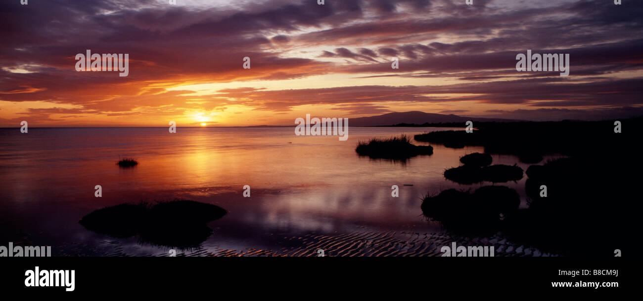 Powfoot High Resolution Stock Photography and Images - Alamy