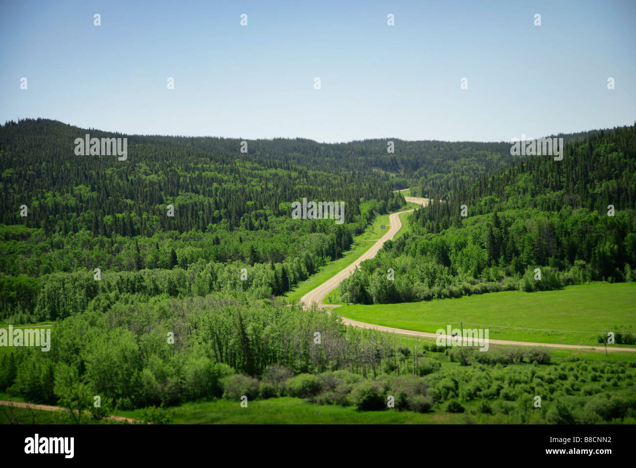 Cypress Hills, Alberta, Canada: Country road through rolling hills Stock Photo