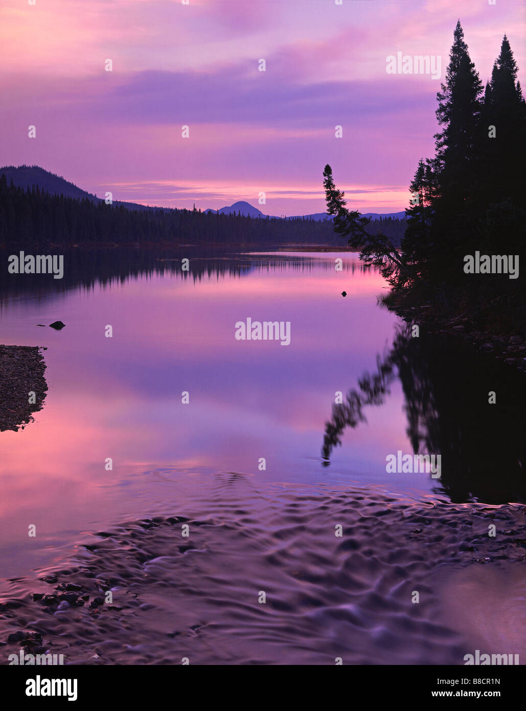 Petit Lac Cascapedia Dawn, Quebec, Gaspesie National Park, Quebec Stock