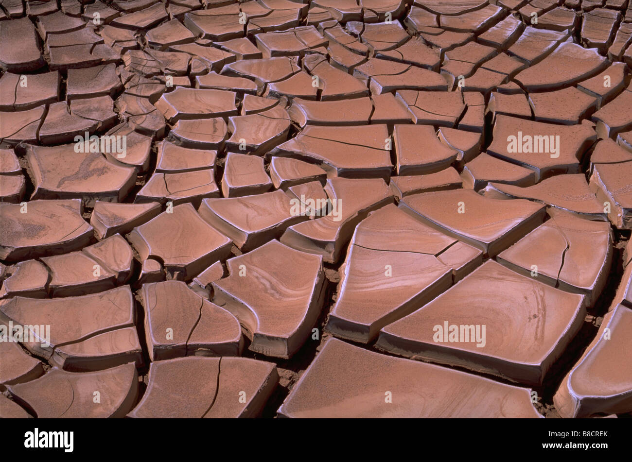 FV0036, Dave Nunuk; Dried mud, acama desert, Chile Stock Photo